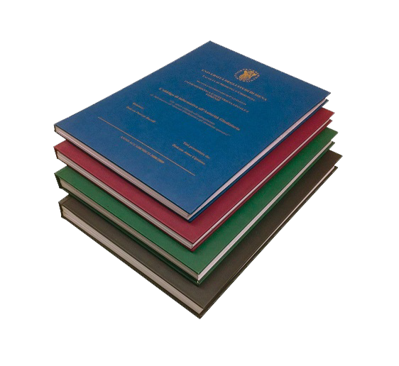 Tesi di Laurea